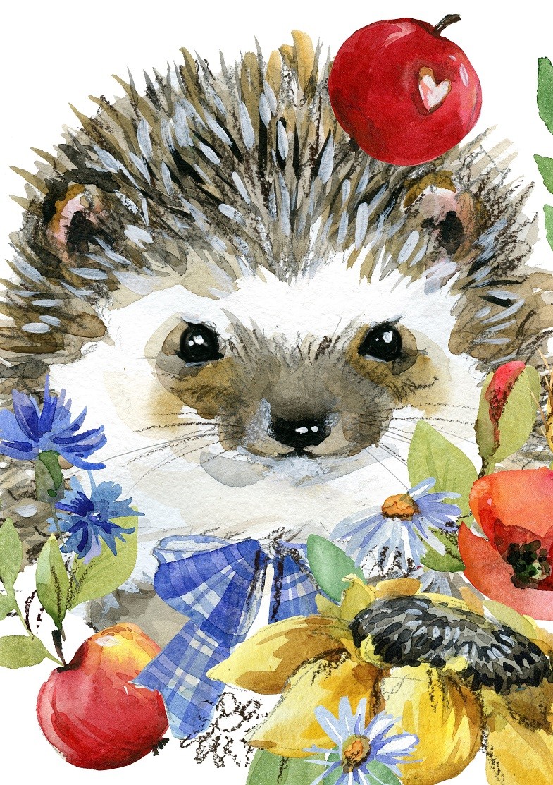 

Алмазная живопись Рыжий кот Серый ёжик с цветами и фруктами