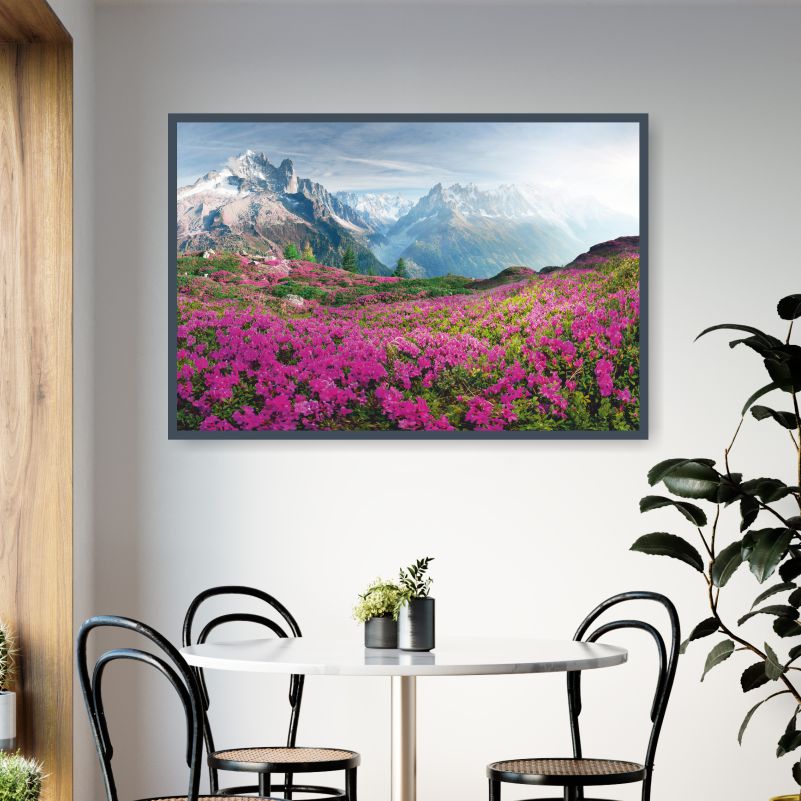 

Постер на холсте ПолиЦентр Цветущее Поле У Горы Монблан 70х50 см, ЦветущееПолеУГорыМонблан