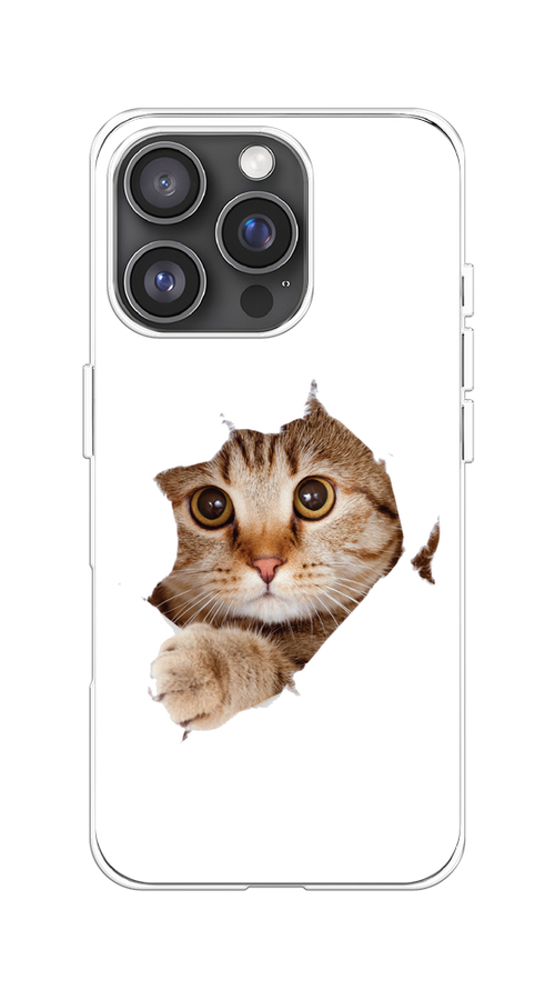 

Чехол на Apple iPhone 16 Pro "Кот и бумага", Белый;коричневый, 16250-1