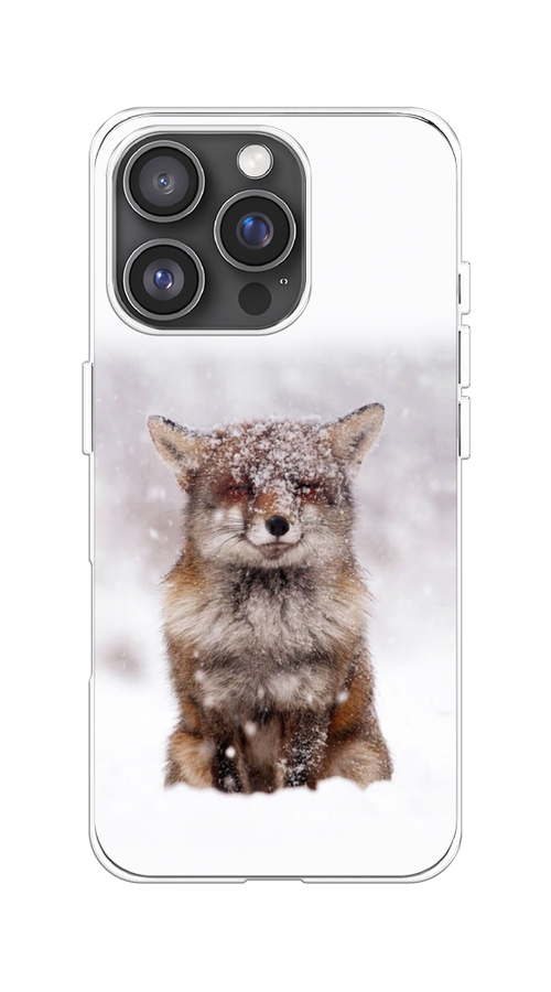 

Чехол на Apple iPhone 16 Pro "Зимняя лиса", Белый;серый;коричневый, 16250-1