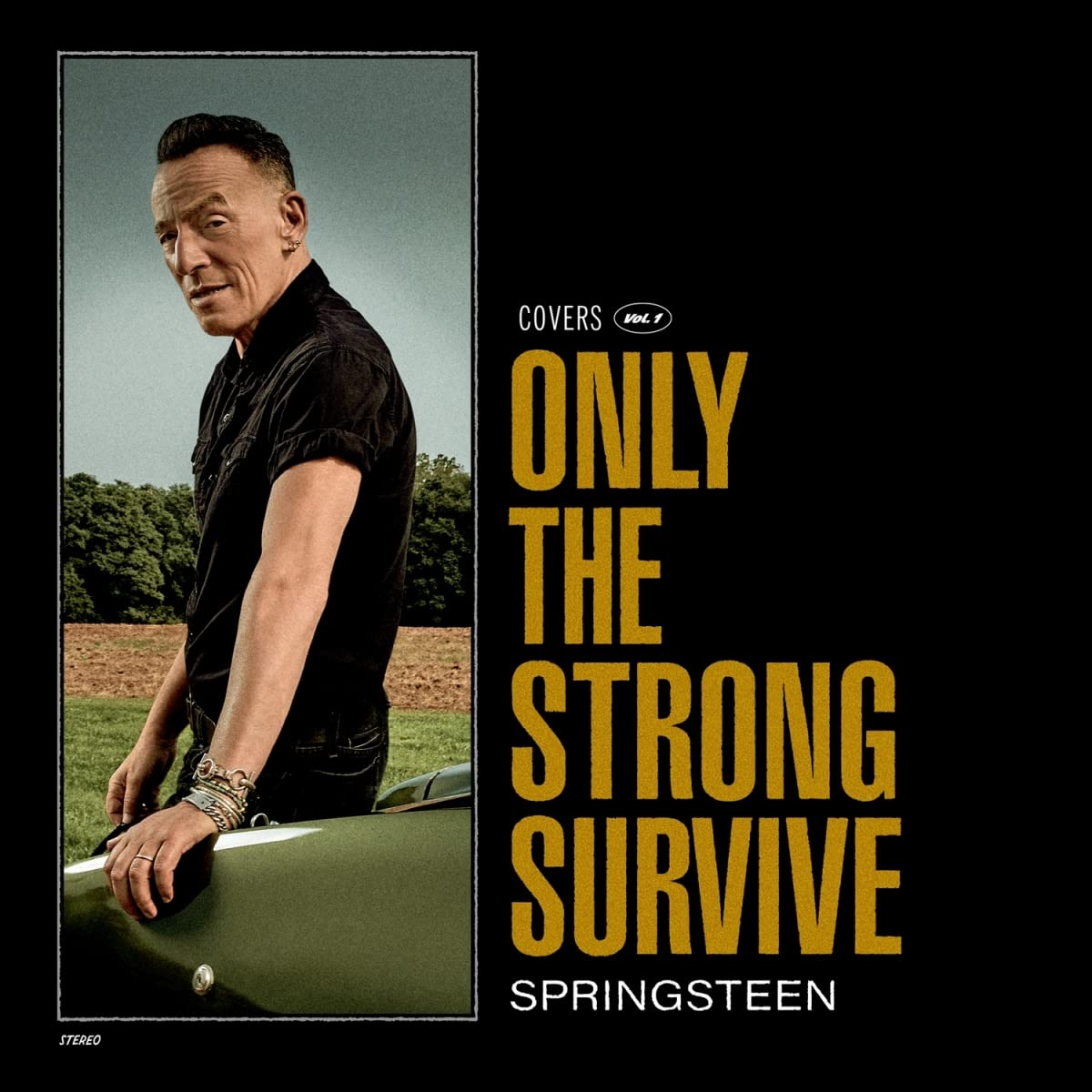 фото Bruce springsteen only the strong survive (2винил) мистерия звука