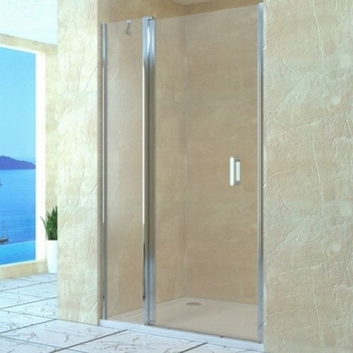 

Душевая дверь в нишу RGW Leipzig LE-04 1200x1950 профиль хром, стекло чистое 06120412-11