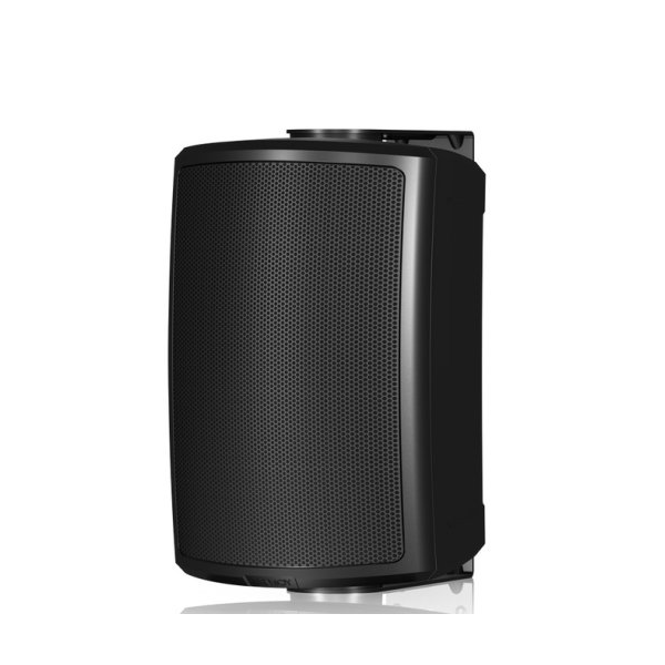 

Пассивная акустика TANNOY AMS 5ICT Black, AMS 5ICT