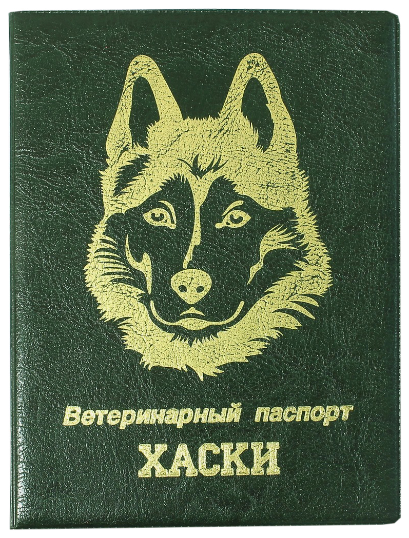 фото Обложка на ветеринарный паспорт пвх "хаски" зеленая стрекоза