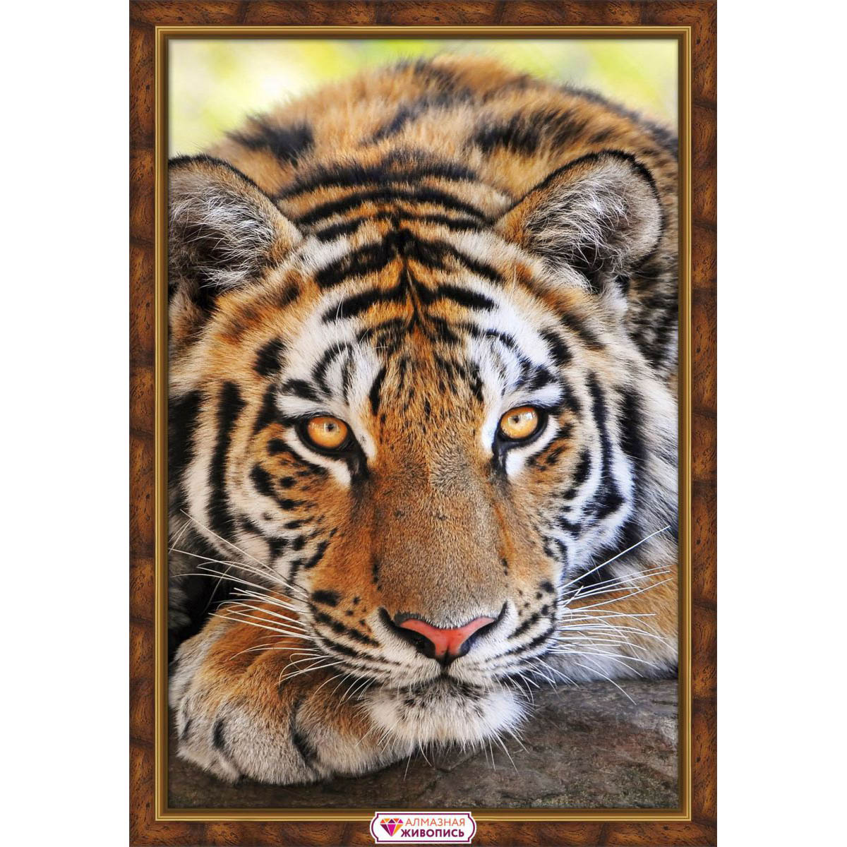 

Алмазная мозаика Полосатый красавец, 40*60 см, АЖ-4125