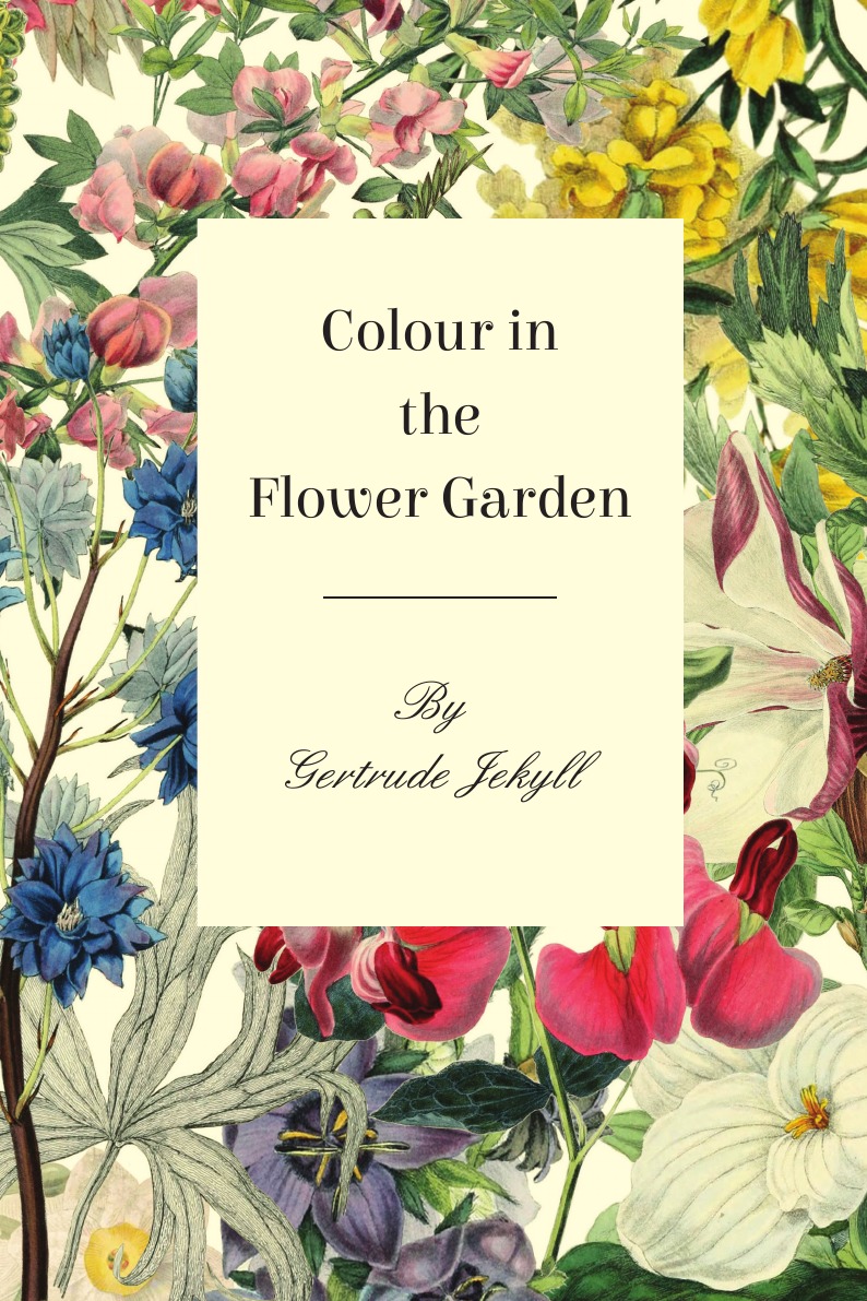 

Colour in the Flower Garden