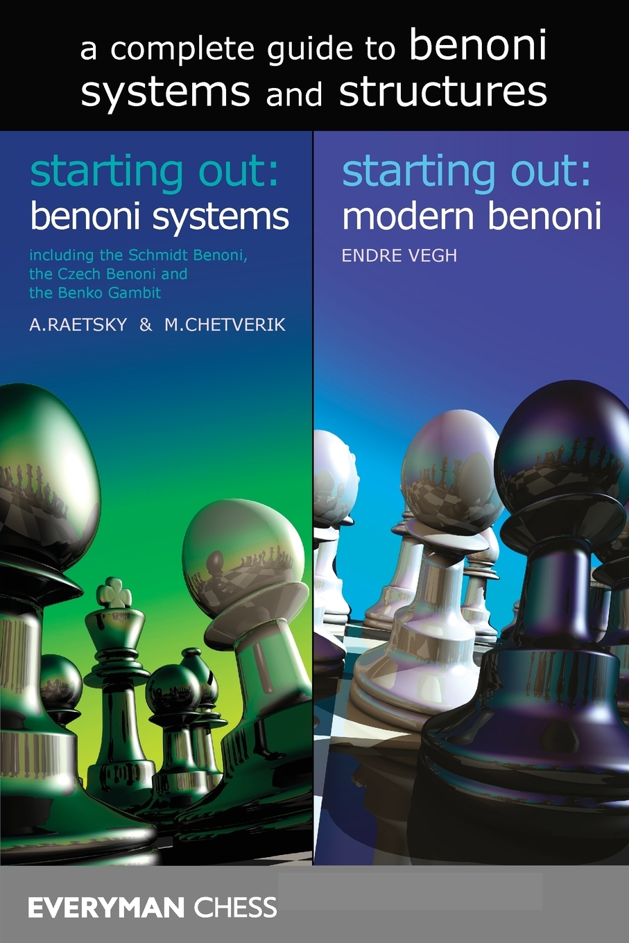 

A Complete Guide to Benoni Systems and Structures