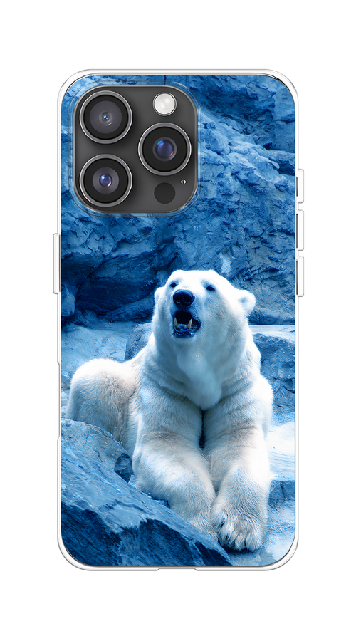 

Чехол на Apple iPhone 16 Pro "Белый медведь", Голубой;белый, 16250-1