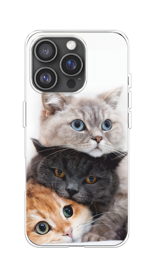 

Чехол на Apple iPhone 16 Pro "Пушистые мордашки", Серый;черный;оранжевый, 16250-1