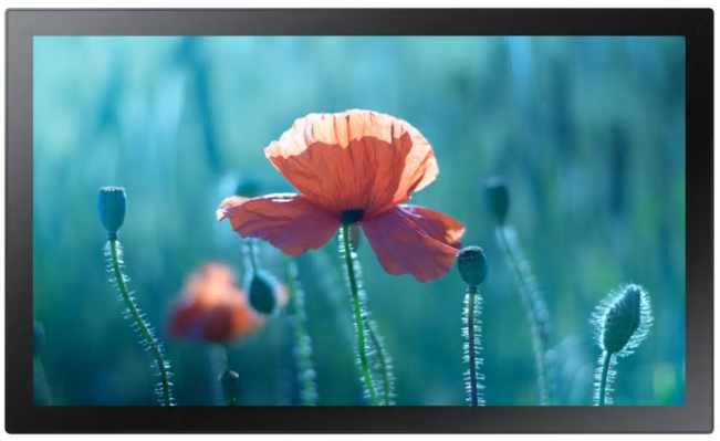 

Монитор Samsung QB13R-T 13" Black (LH13QBRTBGCXCI), QB13R-T