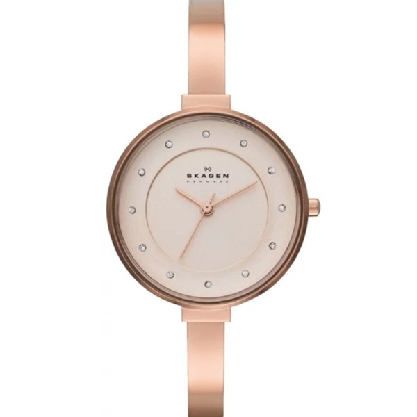 фото Наручные часы женские skagen skw2230