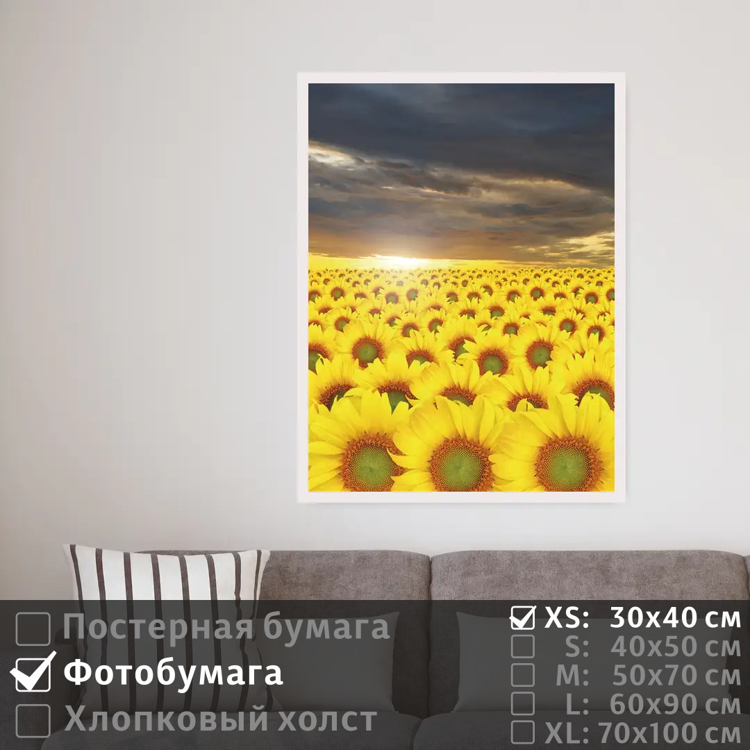 

Постер на фотобумаге ПолиЦентр Подсолнухи в сумерках под облаками 30х40 см, ПодсолнухиВСумеркахПодОблаками