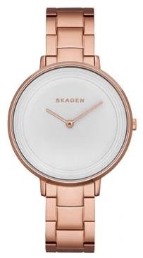Наручные часы женские Skagen SKW2331