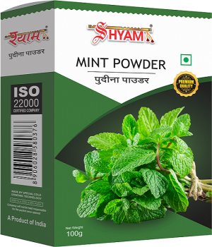 фото Индийские специи. shyam mint powder. порошок мяты, 100 гр.