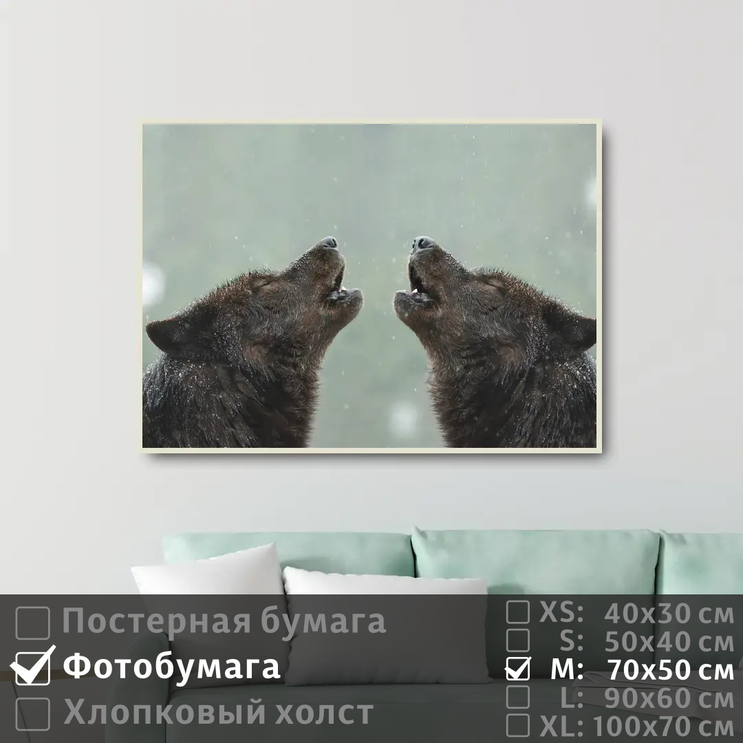 

Постер на фотобумаге ПолиЦентр Волки воют вместе в снежный день 70х50 см, ВолкиВоютВместеВСнежныйДень
