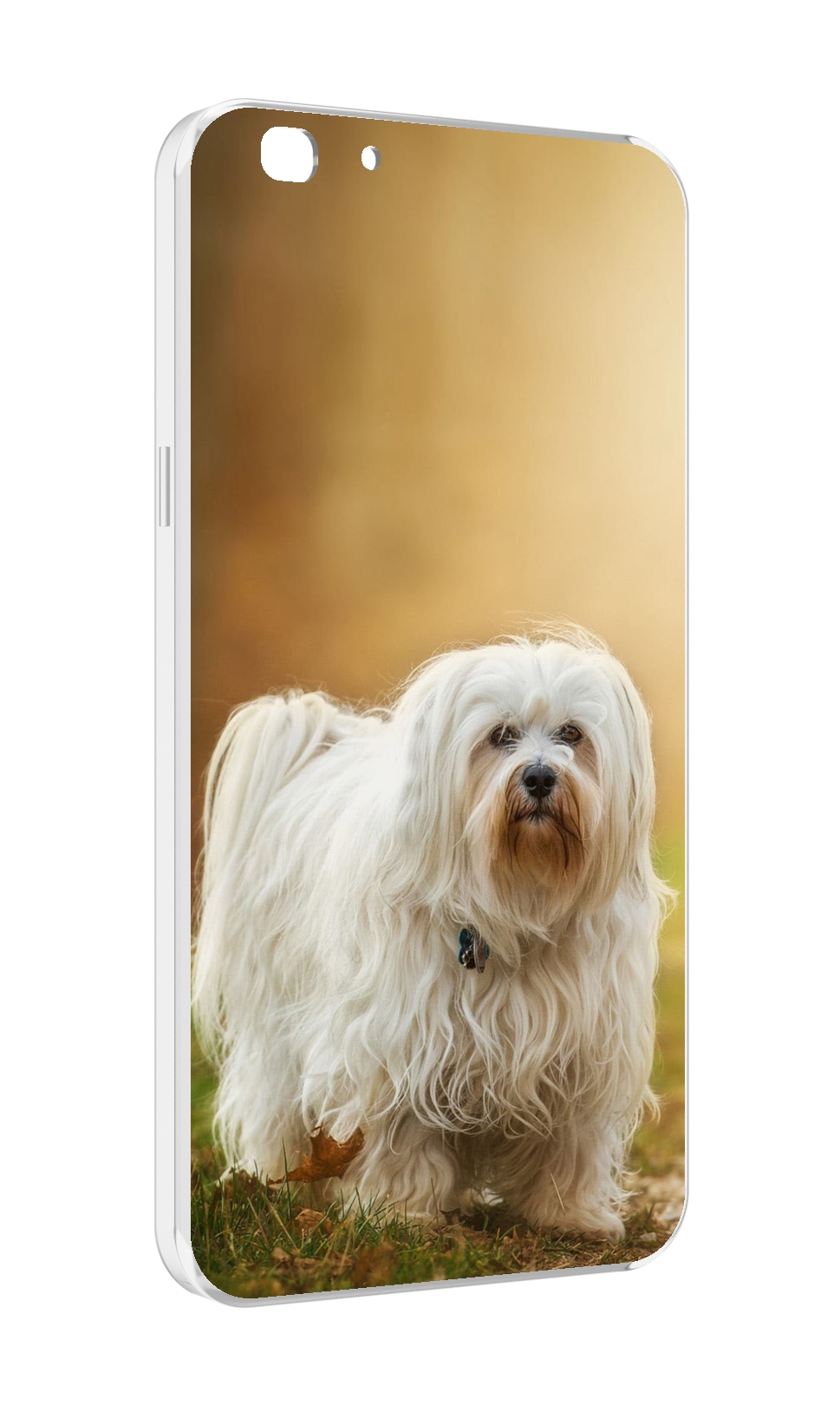 

Чехол MyPads гаванскии бишон для Oppo A77/F3 (2017 год), Прозрачный, Tocco