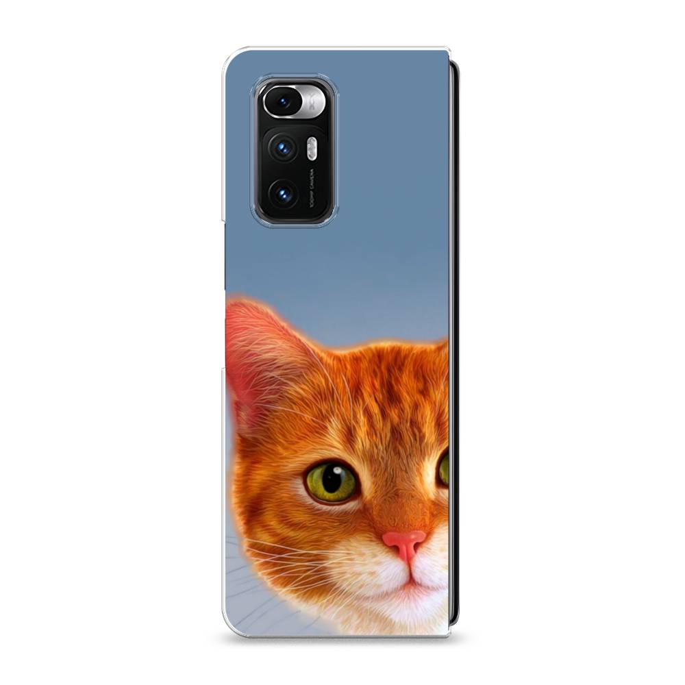 

Чехол на Xiaomi Mi Mix Fold "Любопытный котик", Коричневый, 314250-1