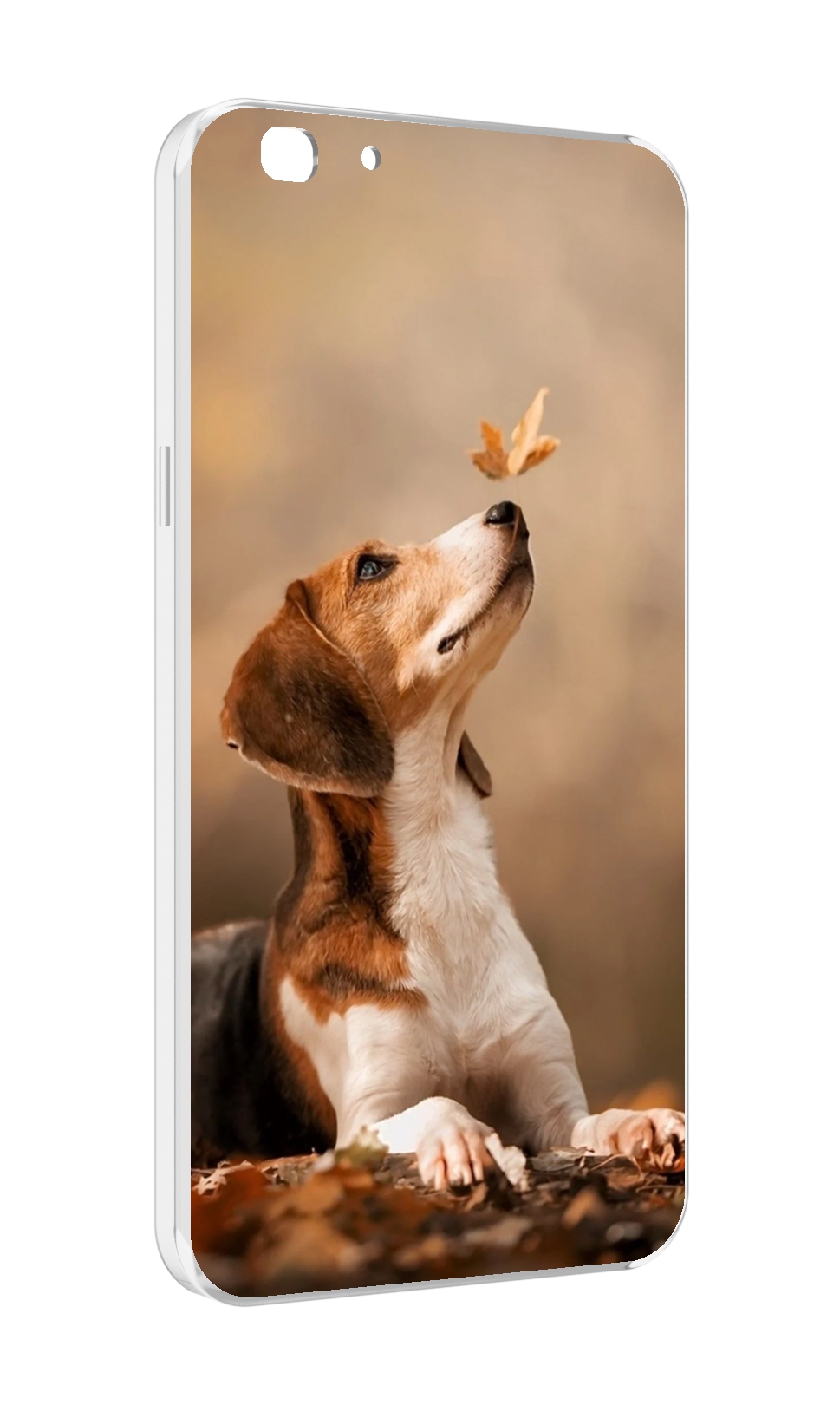

Чехол MyPads бигль-собака для Oppo A77/F3 (2017 год), Прозрачный, Tocco