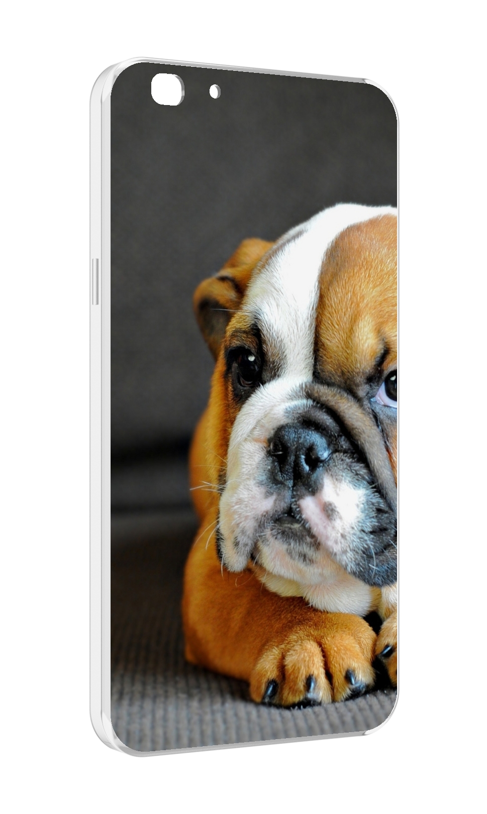 

Чехол MyPads англиискии бульдор для Oppo A77/F3 (2017 год), Прозрачный, Tocco