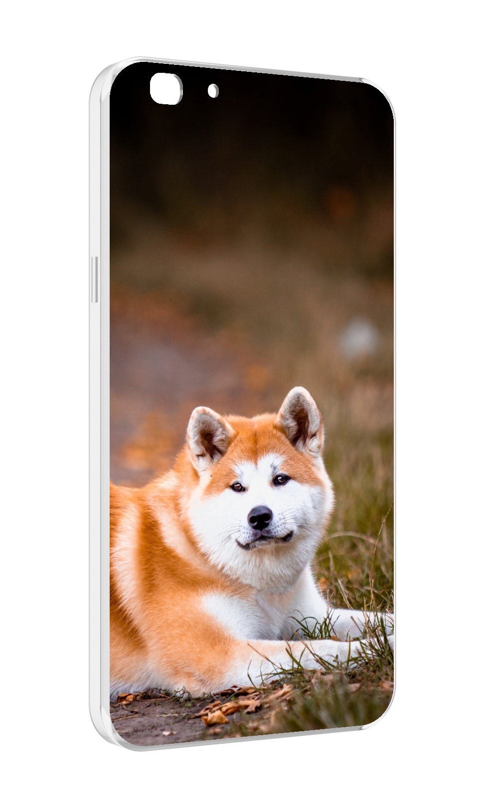 

Чехол MyPads акита ину для Oppo A77/F3 (2017 год), Прозрачный, Tocco
