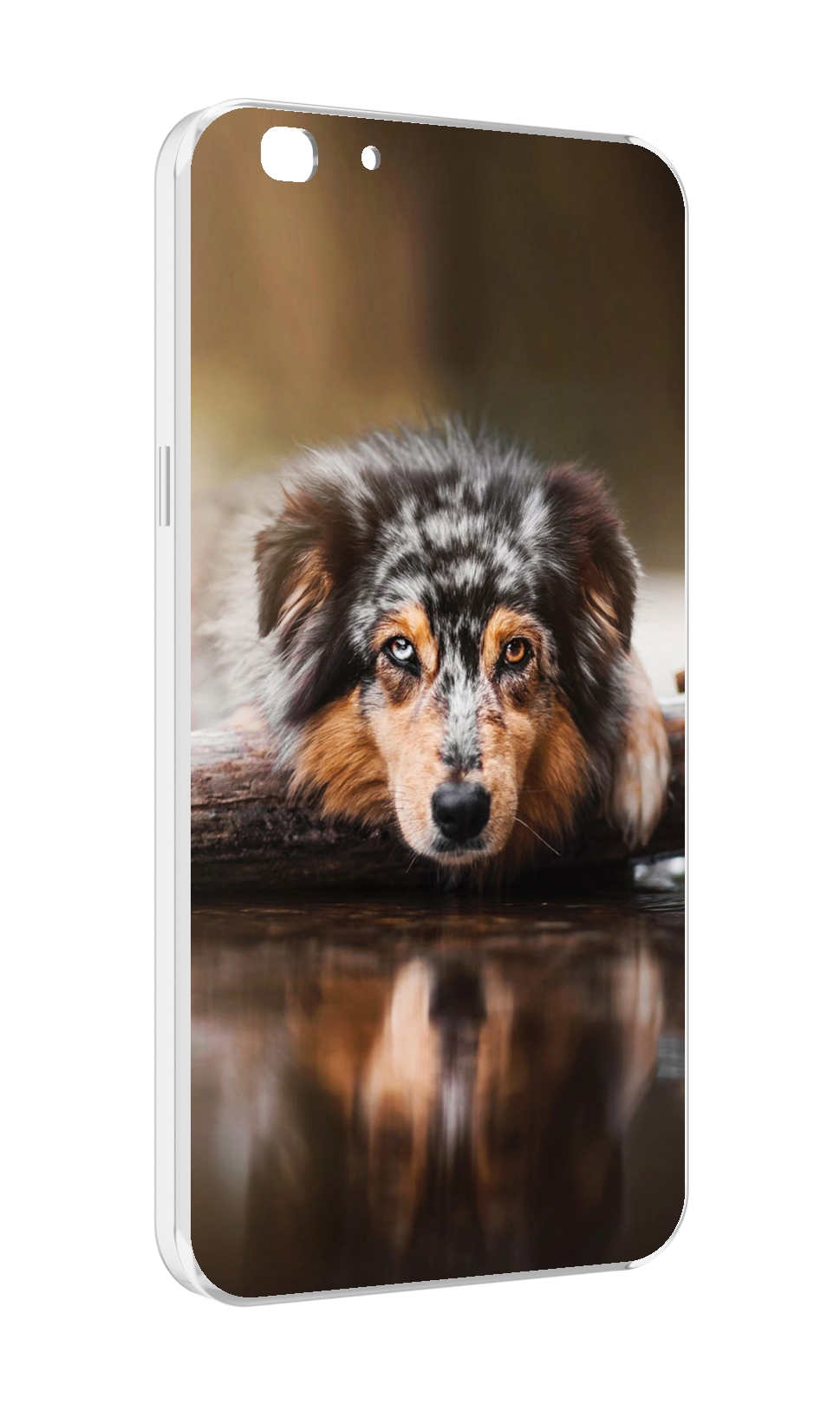 

Чехол MyPads австралииская овчарка для Oppo A77/F3 (2017 год), Прозрачный, Tocco