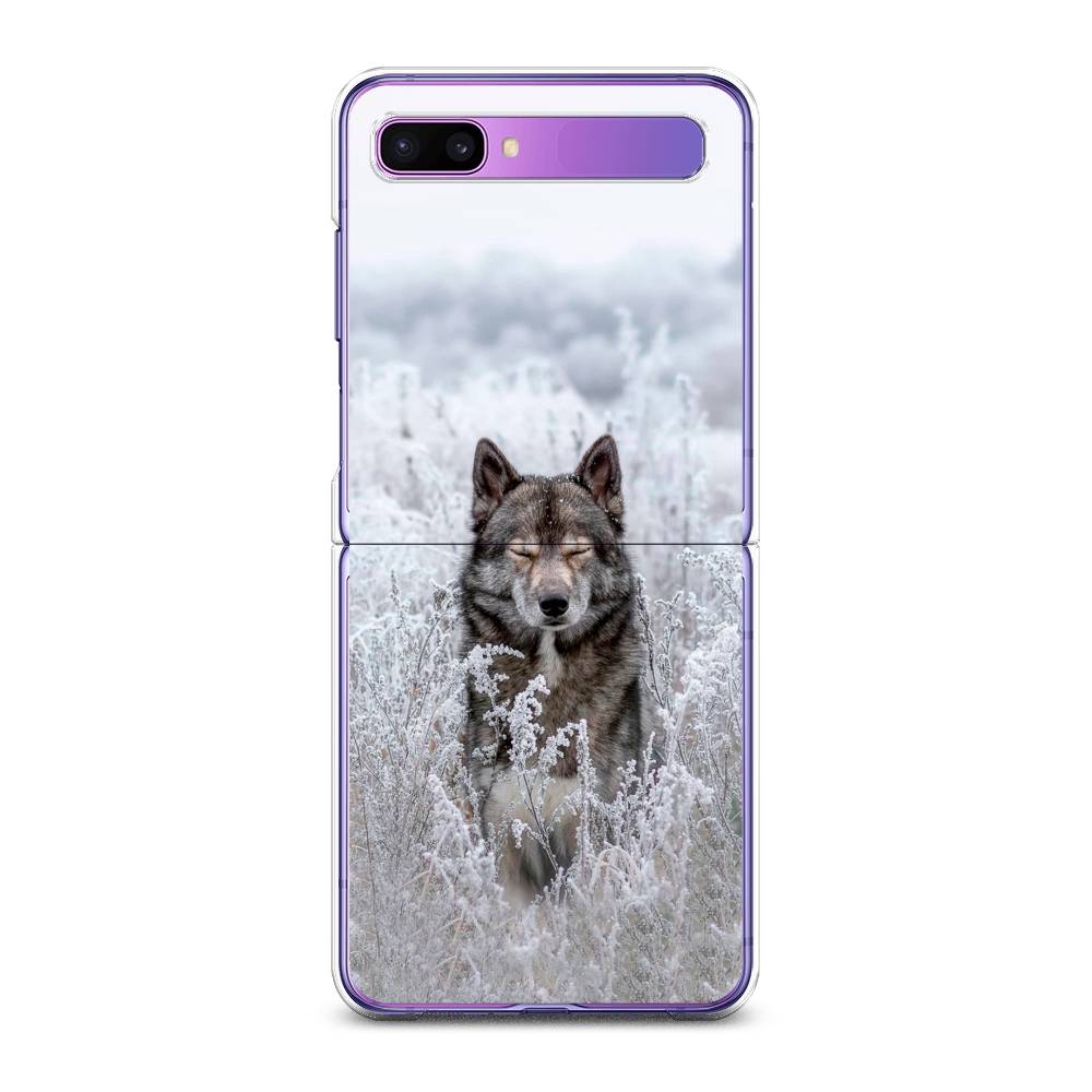 

Чехол Awog для Samsung Galaxy Z Flip 1 "Волк в поле", 2107150-1