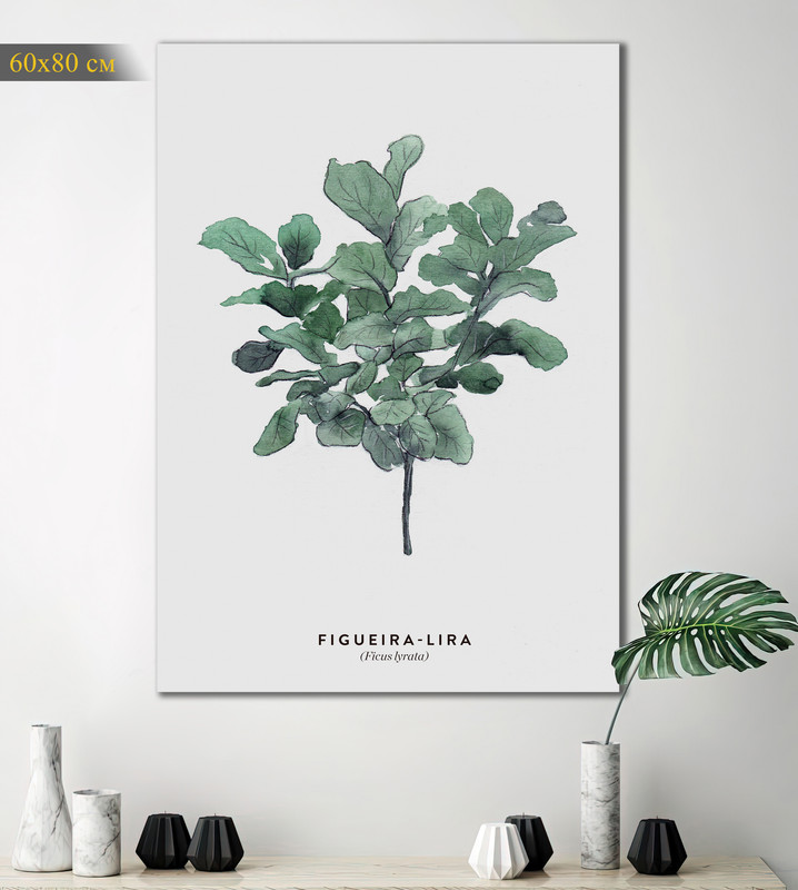 

Картина КартинуМне! Ficus lyrata, N001521, 60х80 см, Ficus lyrata