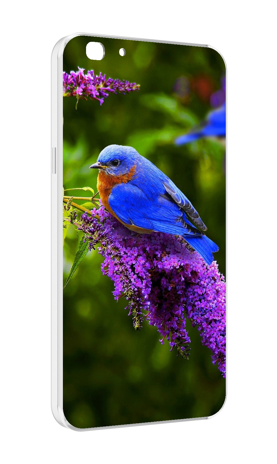 

Чехол MyPads Птица-сиреневая для Oppo A77/F3 (2017 год), Прозрачный, Tocco