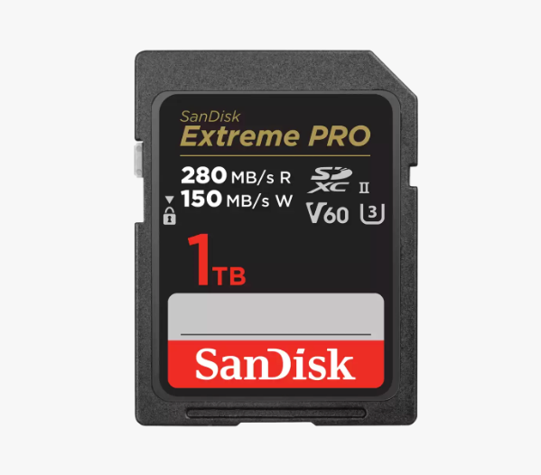 Карта памяти SanDisk SDXC 1024Гб (3219970)