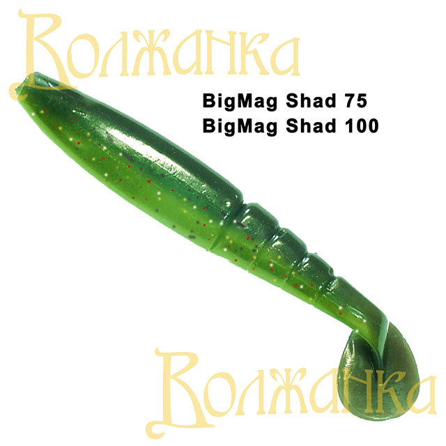 

Волжанка Приманка силиконовая (мягкая) VOLZHANKA BIGMAG SHAD (BMS100-2007 / 4" / 2007), Зеленый
