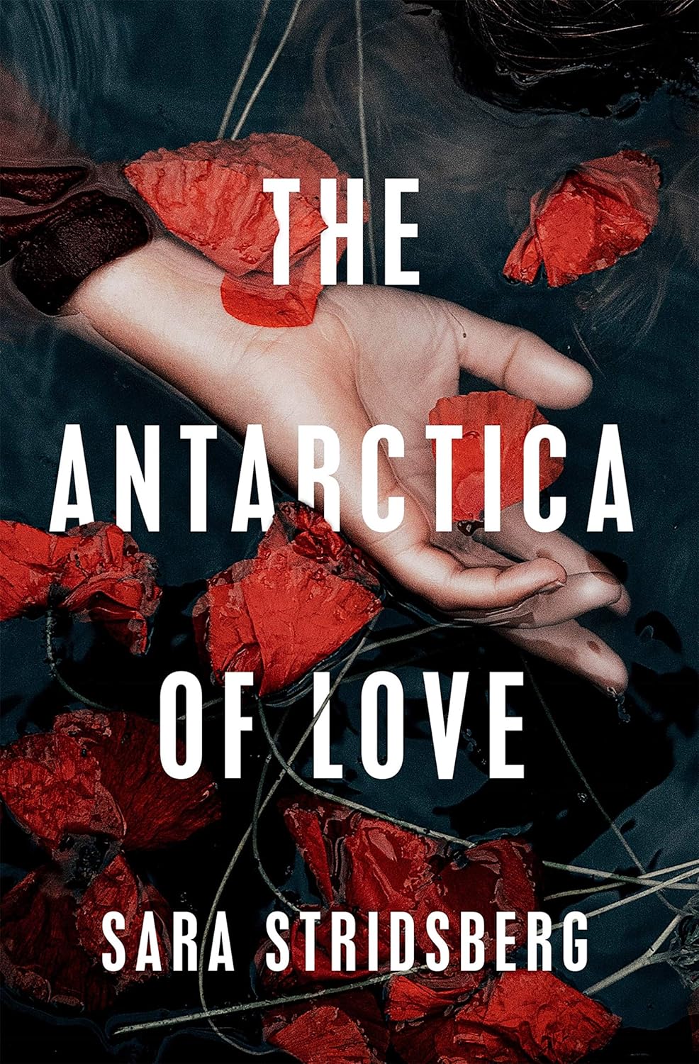 

The Antarctica of Love. Sara Stridsberg; Translated from the Swedish by De