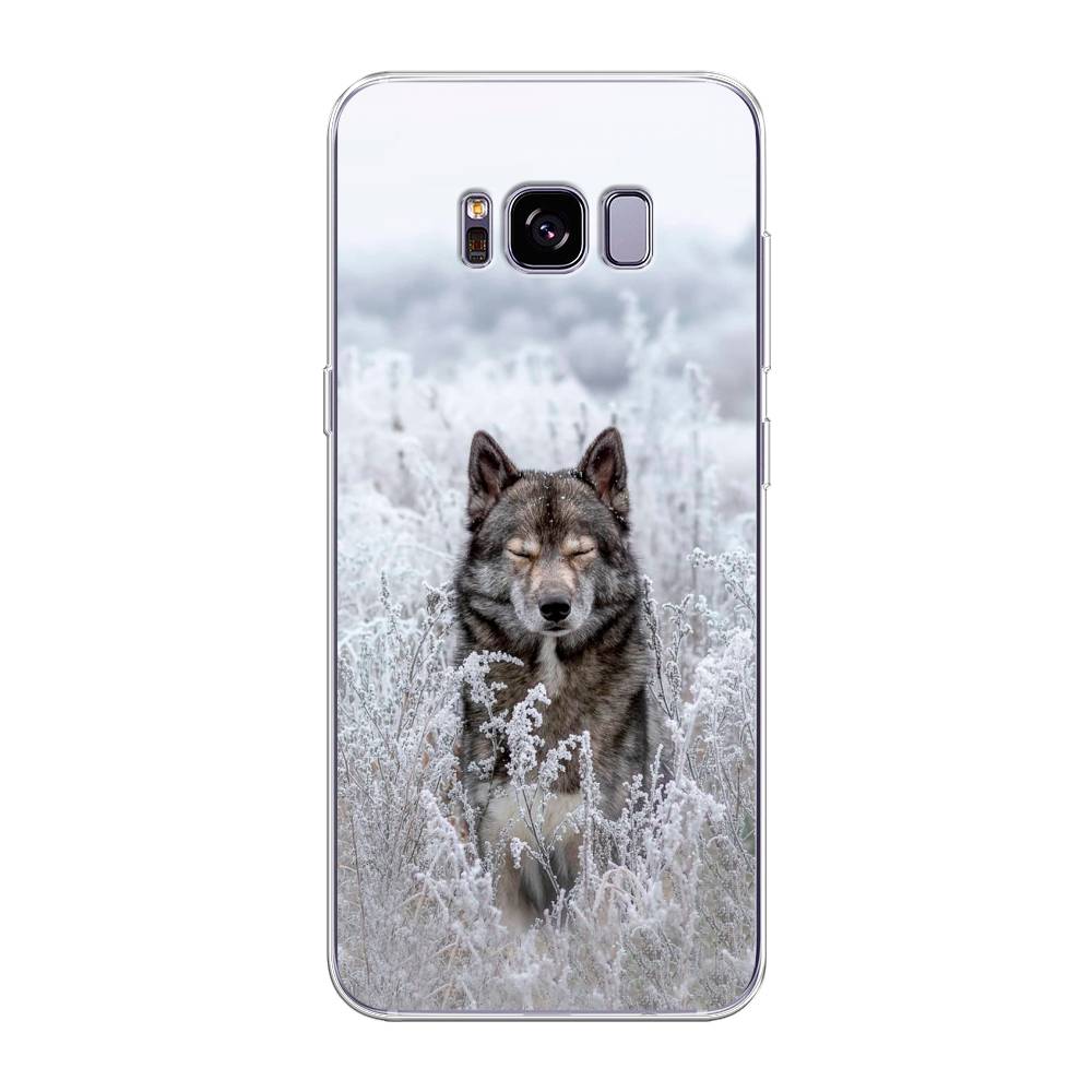 

Чехол Awog на Samsung Galaxy S8 + "Волк в поле", Белый;черный, 24850-1