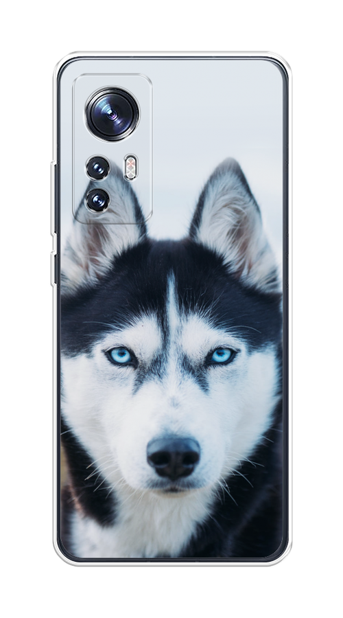 

Чехол на Xiaomi 12"Хаски 2", Синий;белый, 312950-1