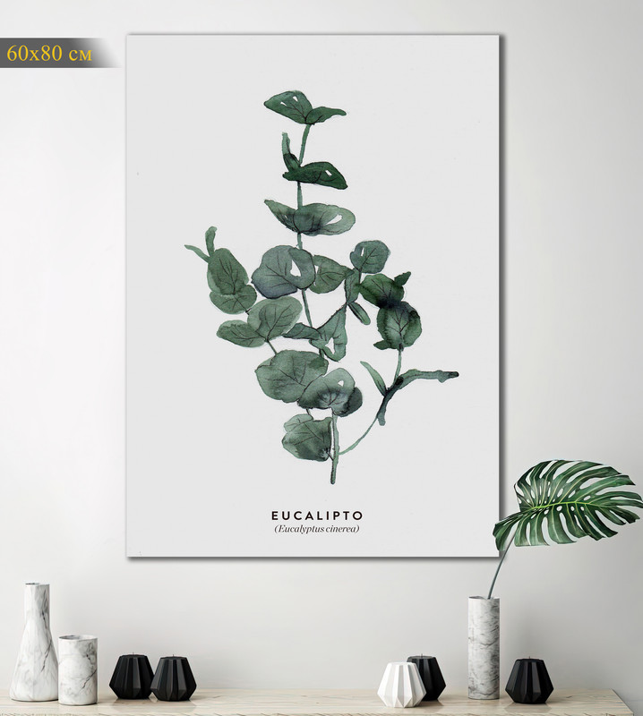 

Картина КартинуМне! Eucalyptus cinerea, N001516, 60х80 см, Eucalyptus cinerea