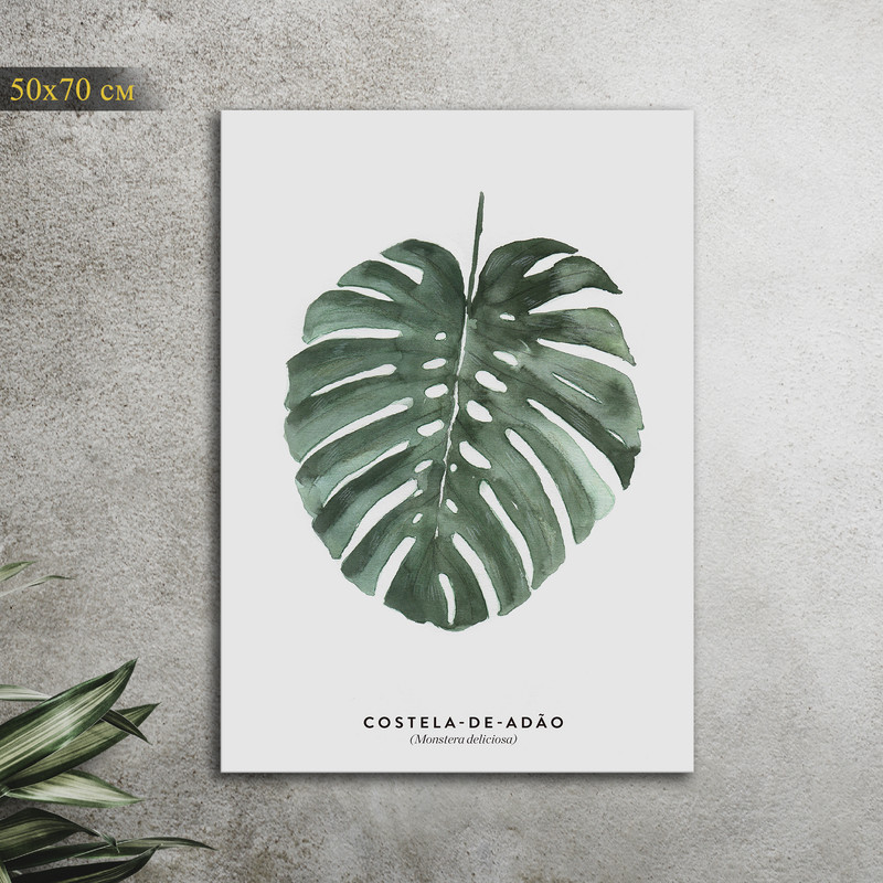 

Картина КартинуМне! Monstera deliciosa, N001510, 50х70 см, Monstera deliciosa