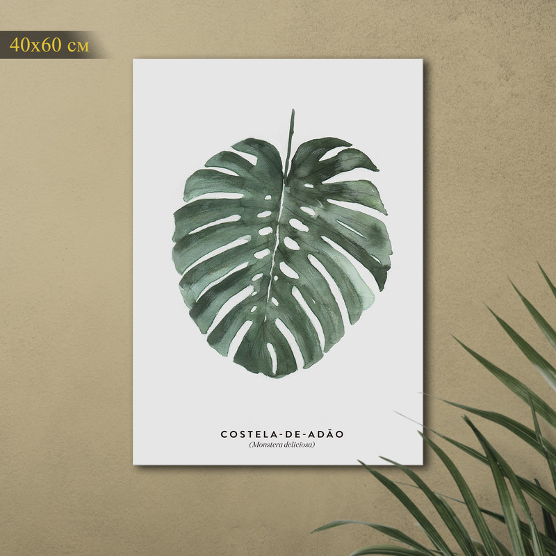 

Картина КартинуМне! Monstera deliciosa, N001509, 40х60 см, Monstera deliciosa