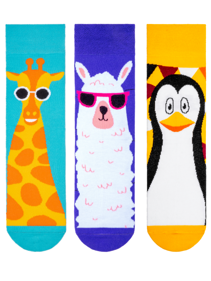 

Подарочный набор носков мужской Tatem Socks 500 разноцветный 36-40, 500