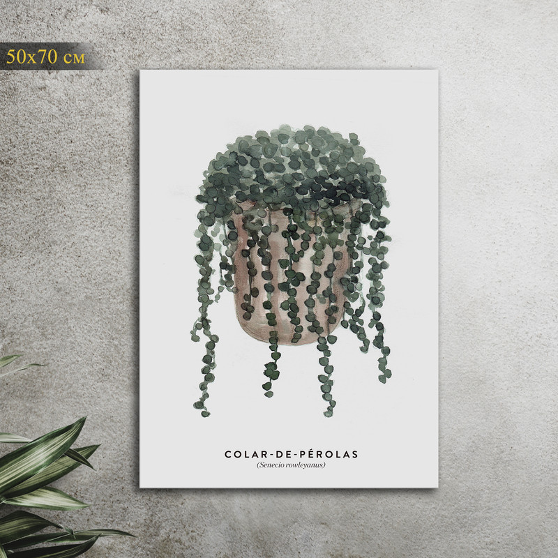 

Картина КартинуМне! Senecio rowleyanus, N001505, 50х70 см, Senecio rowleyanus
