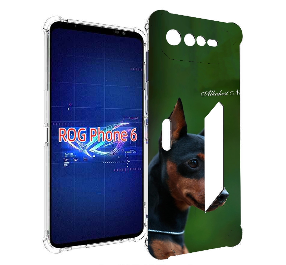 

Чехол MyPads цвергпинчер черпинчер для Asus ROG Phone 6, Прозрачный, Tocco