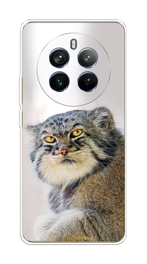 

Чехол на Realme 12+ "Кот манул 1", Серый;белый;желтый, 2516350-1