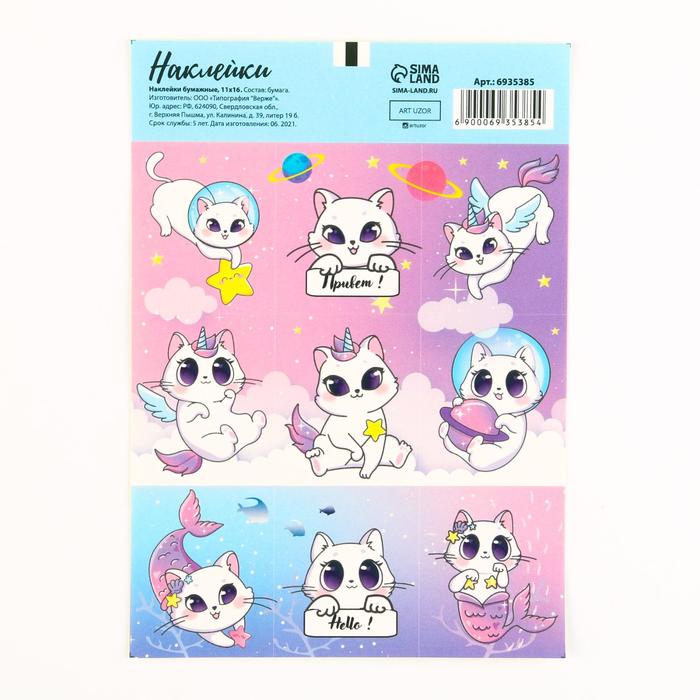 

Наклейки бумажные Magic cat, 11  15,5 см 10 шт., Разноцветный