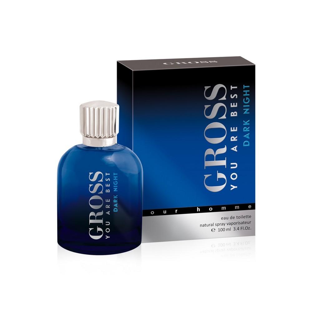 Туалетная вода мужская Christine Lavoisier Parfums Gross Dark Night 100 мл