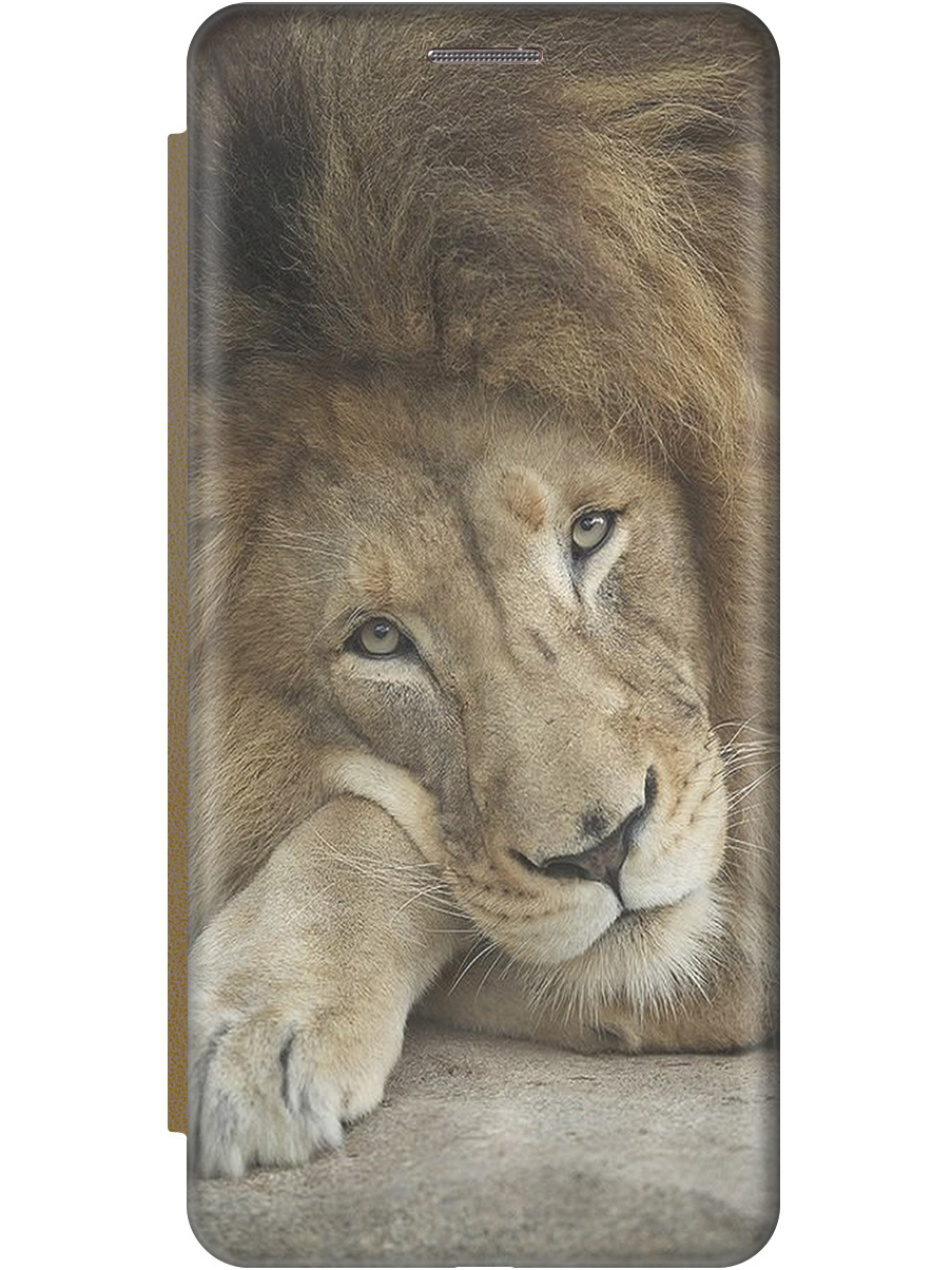 

Чехол-книжка на Xiaomi Redmi Note 12s "Спокойный лев" золотой, Желтый;оранжевый, 20001470