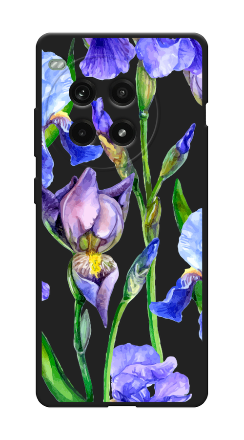 

Чехол Awog на OnePlus Ace 3 Pro "Синие ирисы", Фиолетовый;голубой;зеленый, 155152-1