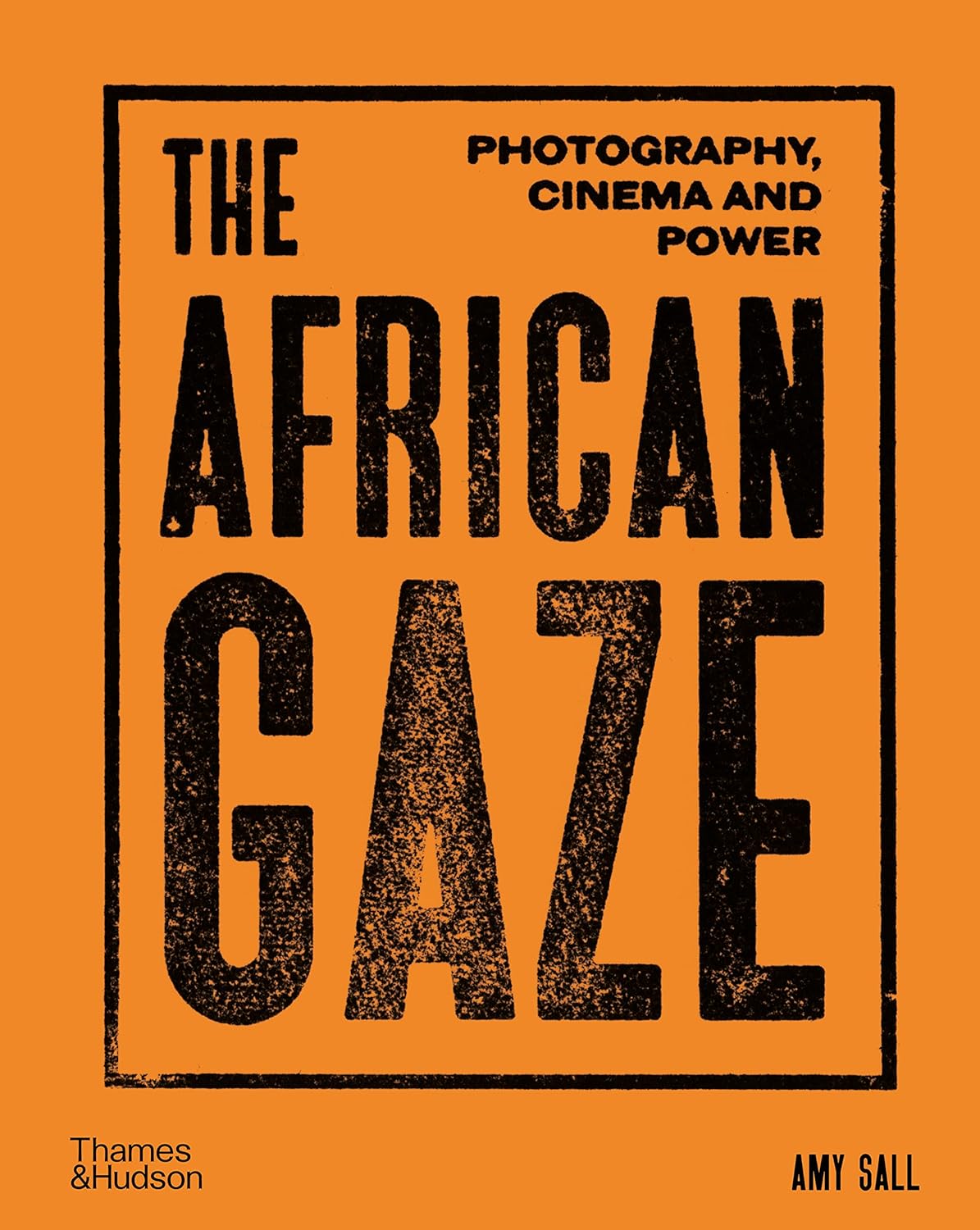 

The African Gaze: Photography, Cinema and Power. Sall, Amy ; Diouf, Mamadou