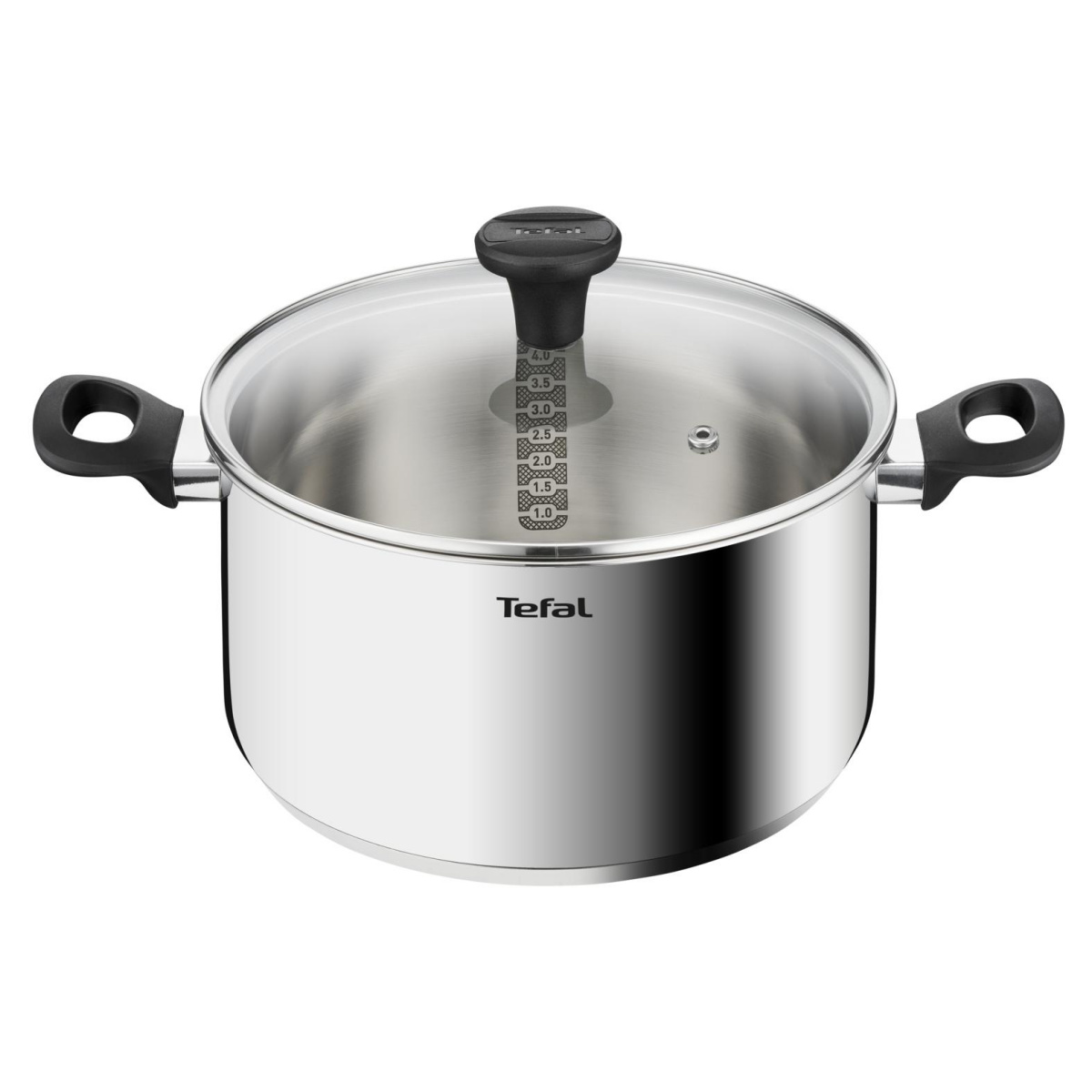 

Кастрюля с крышкой Tefal Edition G7404674, Natalie 24см