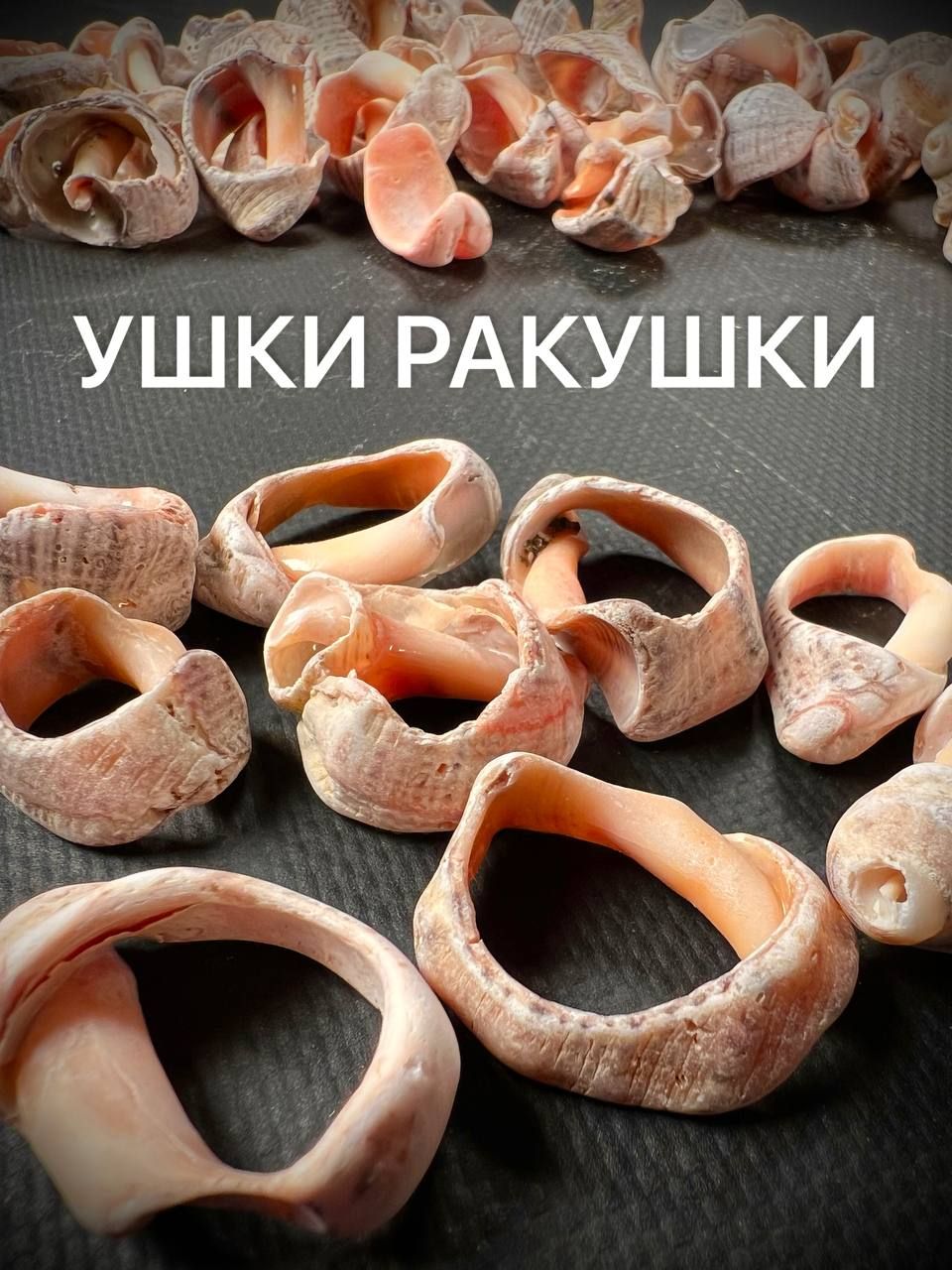 

Ушки Ракушки Морского Рапана 50шт., Бежевый