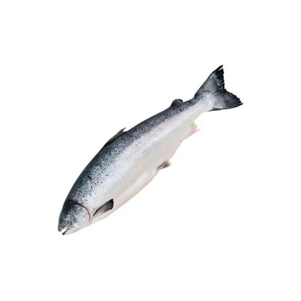 

Форель MaxiFish свежемороженая неразделанная с головой +-1,2 кг