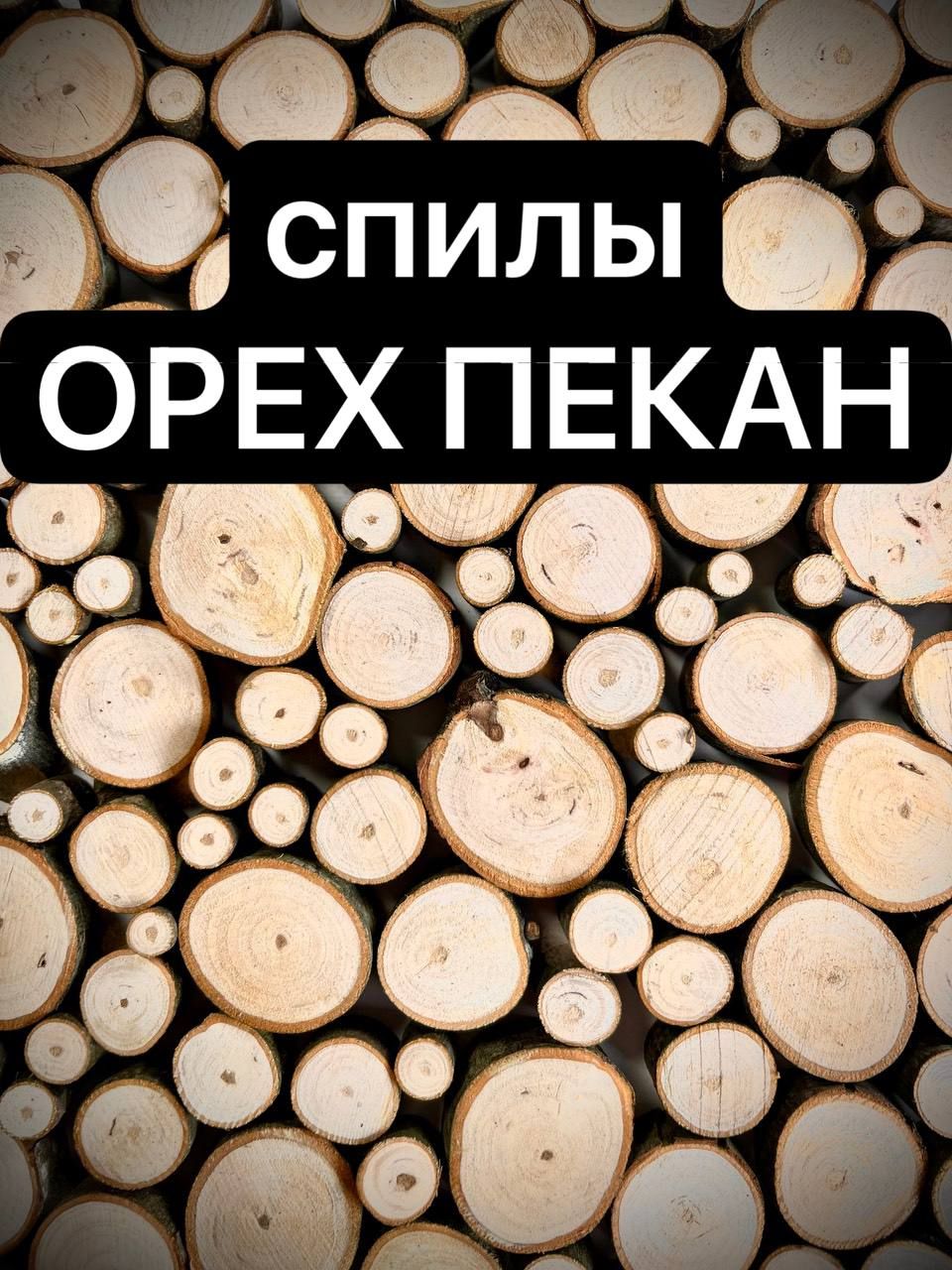 

Спилы дерева Орех Пекан 3-6 см 10 шт