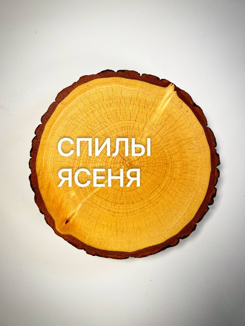 

Спилы дерева Ясень 12-20 см 4шт